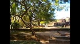 Sri Lanka. Polonnaruwa. 2015 (1) Potgul Vihara. Monkeys and ruins