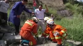 Firefighters rescue huge runaway pig trapped in sewer