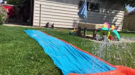 Slow-mo Slip N Slide action