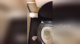 Newsflare Edit - Prank wars (best friends)