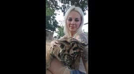 Tiger and lion cubs swarm woman with playful hugs and bites