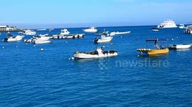 Navy Seals Sealions sleeping on a boat Galapagos Islands