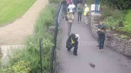 Naughty Gorilla In London