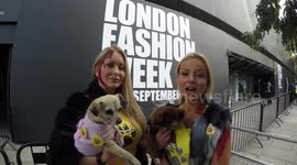 The K9 Angels At London Fashion Week Anti Fur Protest