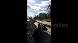T-Rex Skateboarding Fail