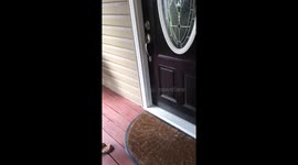 Puppy Reunion!!!!!!!!