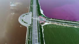China's Dead Sea 'turns pink and green'