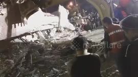 Dogs help quake rescue efforts in Mexico City