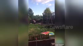 Newsflare Edit - Best Friends At War