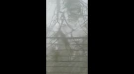 Puerto Rico resists Hurricane Maria