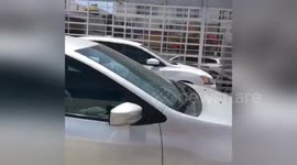 Panic as tremors felt during Mexico quake