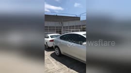 Newsflare Edit - Part 1 - Newsflare Edit - Earthquake mexico 2017