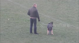 Distracted Dog wants to poop but can't go while owner's patience wears thin