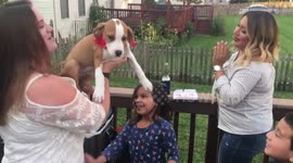 Woman receives rescued puppy as birthday present