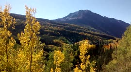 Colorado Fall Colors