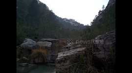 Spain. España. Valencia. Hiking. Ruta Pozas de Real. Cortes de Pallas. 2015