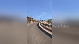 Newsflare Edit - Horses crossing the road