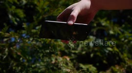 Man performs drop test on new iPhone 8 Plus