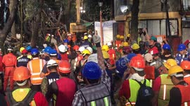 Mexican and internarional rescue teams search for victims of earthquake