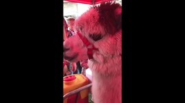Alpaca