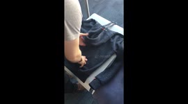 Hoodie travel Pillow