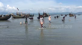 Rohingya refugee fled Myanmar and entered Bangladesh with theirs animals