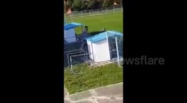Old lady on the football field-funniest football moment