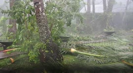 Cat 5 Cyclone. Brunt of storm view from shelter