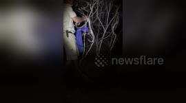 Snake catcher relocates young python found in garden