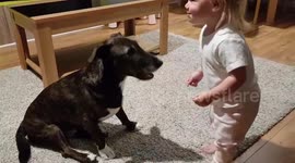 Baby feeds dog with her mouth