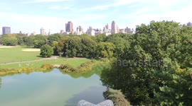 Central Park from Belvedere Castle