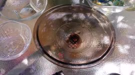 DIY: Easy and Simple Outdoor Water Fountain