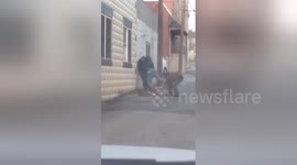 Newsflare Edit - Fight in Columbia PA
