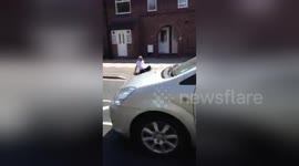 Newsflare Edit - Have You Ever Been This Drunk