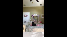 11 years old gets a birthday surprise  puppy Shih tzu