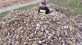 Kids play in the BIGGEST leaf pile EVER!!!