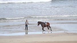Man Training Horse On Beach