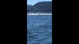 ALMOST FLATTENED BY A HUMPBACK WHALE!! (full version)