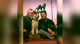 Couple pose for Christmas photo with their pets