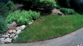 Extreme slope mowing with Exmark Turf Tracer 48