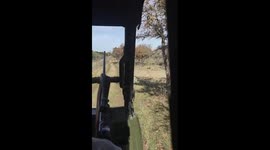 Axis Buck Deer Rescue