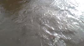 High river levels in Kendal