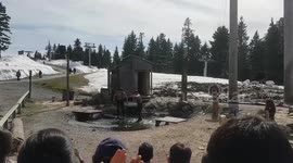 Funny Lumberjack fail