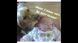 Baby raised with dog are best friends