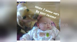Newsflare Edit - Baby raised with dog are best friends