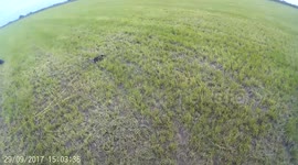 Paramotor crash in shallow water