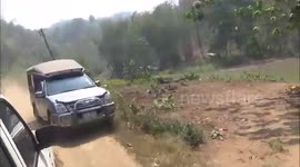 Elephant Trekking near Chiang Mai, Thailand