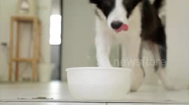 Couple buy car with bag of origami hearts made out of banknotes