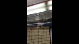 Piccadilly Circus to Bakerloo Line