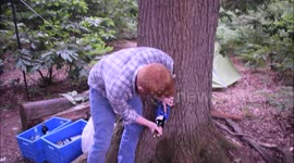 How To Open a Wine Bottle with a Tree and a Shoe